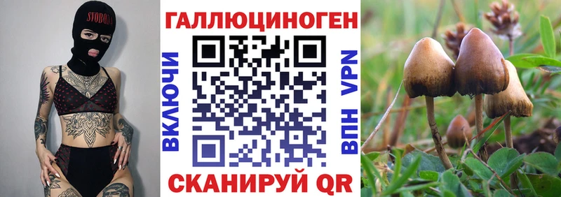 Псилоцибиновые грибы прущие грибы  mega вход  Красный Холм  что такое  
